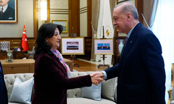 İmralı Heyeti yarın Erdoğan ile görüşecek