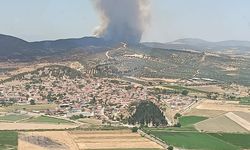 İzmir'in Aliağa'da orman yangını