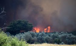 Define ararken ormanı yakan sanıklara 18’er yıla kadar hapis istemi