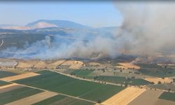 İzmir'de orman yangını: 7 helikopter müdahale ediyor