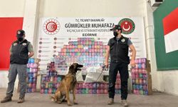 Kapıkule’de 29,5 kilo esrar ele geçirildi