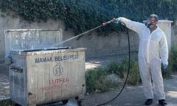 Çöp konteynerleri dezenfekte edilerek hijyenik hale getiriliyor