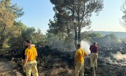 Mangal yaparken ormanı yakmış; tutuklandı