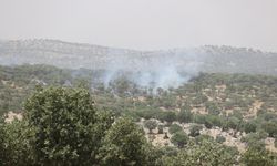 Mardin'de orman yangını