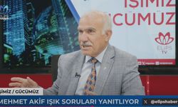 Arkeolog Mehmet Akif Işık, müzeciliği, kaçırılan eserleri ve kazıları anlattı