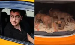 Köpekleri öldürdüğü iddiasıyla tutuklanan doktor için istenen ceza belli oldu