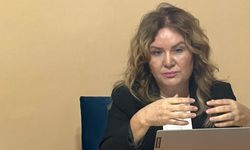 CHP'li Emre'den Nuray Başaran hakkında WikiLeaks, Ergenekon ve Zekeriya Öz iddiaları