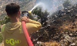 Gaziantep'te ormanlara girişler yasaklandı