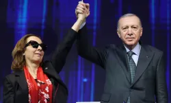 AK Parti’ye geçen Özbudun, Anayasa Komisyonu Başkanı oldu
