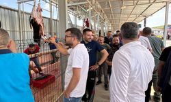 Kurban kesiminde modern ünitelerle hijyenik ve düzenli hizmet