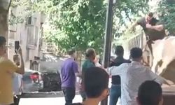 Şanlıurfa’da kurbanlık boğanın saldırısına uğrayan kasap yaralandı