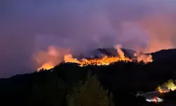 Sakarya yangında 11'inci saat; alevler Bilecik'e ulaştı