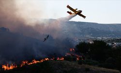 Sakız Adası'nda 3 gündür devam eden yangın kontrol altına alındı