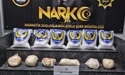 Şırnak'ta TIR'a gizlenmiş 30 kilogram uyuşturucu bulundu