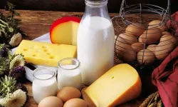 TÜİK açıkladı: Tavuk eti üretimi arttı, yumurta ve süt üretimi azaldı