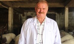 Veteriner Hekimler Odası’ndan kritik kene uyarısı! Ölüm oranı yüzde 5