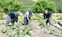 Yerel üretimle kırsalda kalkınma umut idi hedef oldu