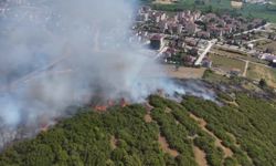 Tokat’ta çıkan maki yangınında 15 dönüm alan zarar gördü
