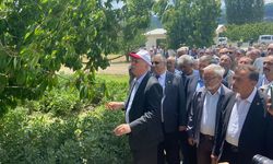Tarımda tarihin en büyük don felaketi ve kayıplar yaşandı