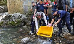 Artvin'de dereye 5 bin kırmızı benekli alabalık yavrusu bırakıldı