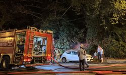 Beykoz’da orman yangını