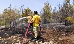 Amasya’da 3 hektar orman yandı