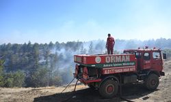Ankara’da orman yangını