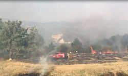 Ankara’da tarım arazisinde çıkan yangın 3 saatte kontrol altına alındı