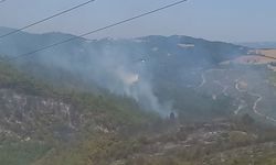 Balıkesir'deki orman yangını ikinci gününde
