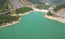 Bartın'da kuraklık nedeniyle barajlardaki su seviyesi düştü, ırmak kurudu