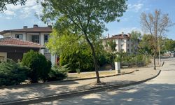 Belde merkezinde küçük ve büyükbaş ile kanatlı hayvan beslemek yasaklandı