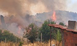 Bursa'daki orman yangınlarıyla ilgili FETÖ bağlantılı bir kişi gözaltına alındı
