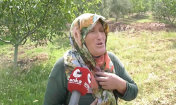 Evini terk etmek istemeyen Bursalı köylü: 'Ölürsem de burada ölürüm'