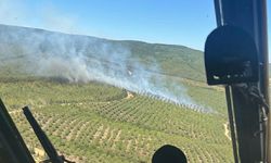 Çanakkale'de orman yangını