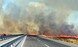 Edirne'de tarla yangını; kara yolu ulaşıma kapatıldı