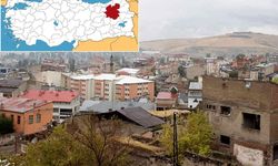 Erzurum’da ormanlık alana giriş yasaklandı