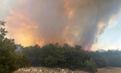 Eskişehir'de orman yangını
