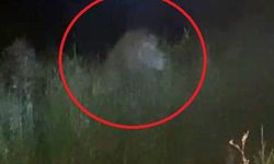 Aslanın saldırısına uğrayan kişi olay anını anlattı