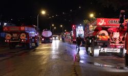 Beykoz’da orman yangınına ilişkin gözaltına alınan şüpheli hakkında tutuklama talebi
