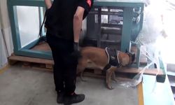 İstanbul’daki operasyonda 60 kilo kokain ele geçirildi