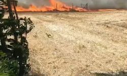 Silivri'de buğday tarlasında çıkan yangın söndürüldü