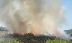 Sultangazi Kent Ormanı'nda yangın
