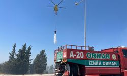 İzmir'de orman yangını