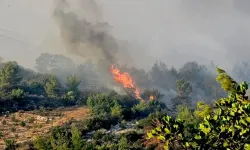 İzmir Bornova’daki yangın Buca’ya sıçradı; Aydın Otoyolu kapatıldı