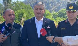 Karabük'te orman yangınına müdahale sürüyor; 55 hektar alan zarar gördü