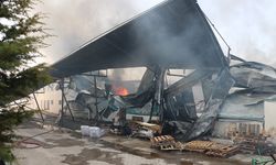 Kayseri'de mobilya fabrikasında yangın