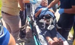Kazada yaralanan sahibini ambulansta da yalnız bırakmadı