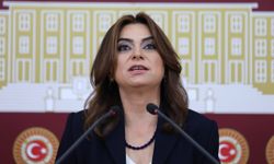 DEM Partili Koçyiğit: Yangınların en büyük sorumlusu önlem almayan AKP’dir
