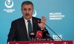 Destici: Kasıtlı olarak ormanlarımızı yakanlar için idam cezası gündeme gelmeli