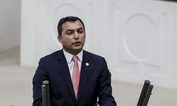 Niyazi Nefi Kara kimdir?